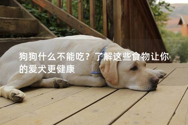 狗狗什么不能吃？了解这些食物让你的爱犬更健康