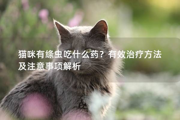 猫咪有绦虫吃什么药？有效治疗方法及注意事项解析