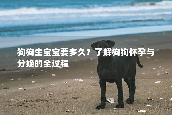 狗狗生宝宝要多久？了解狗狗怀孕与分娩的全过程