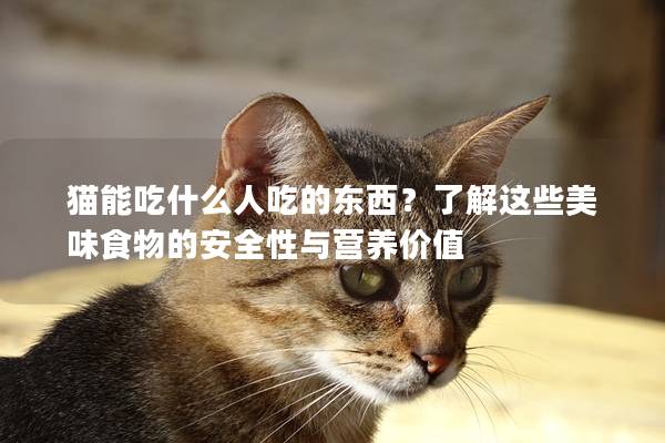 猫能吃什么人吃的东西？了解这些美味食物的安全性与营养价值