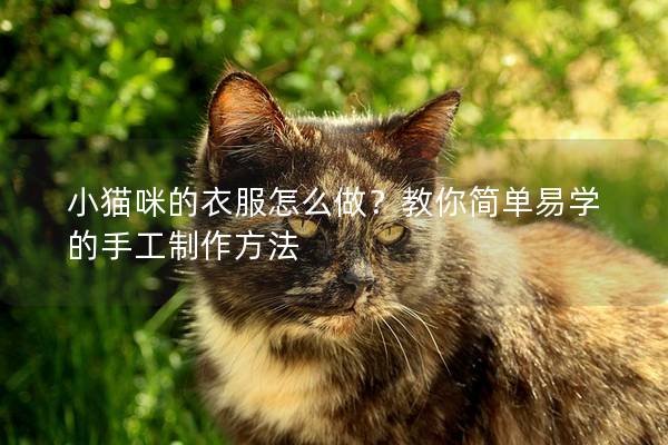 小猫咪的衣服怎么做？教你简单易学的手工制作方法