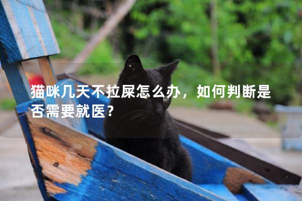 猫咪几天不拉屎怎么办，如何判断是否需要就医？