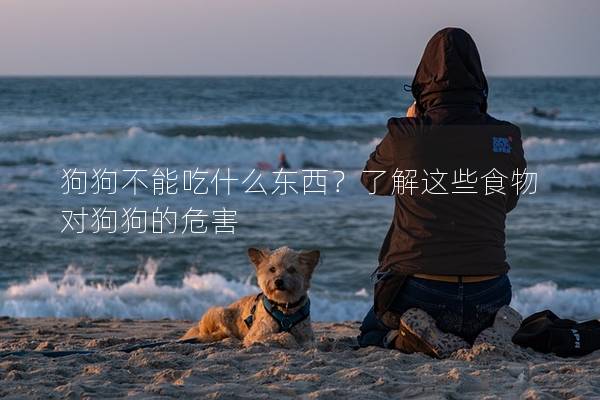 狗狗不能吃什么东西？了解这些食物对狗狗的危害