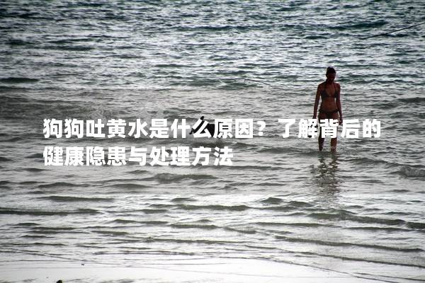 狗狗吐黄水是什么原因？了解背后的健康隐患与处理方法