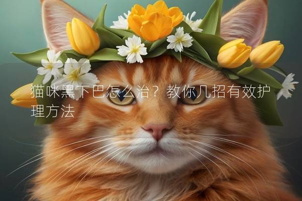 猫咪黑下巴怎么治？教你几招有效护理方法