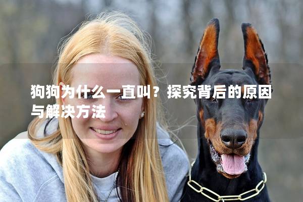 狗狗为什么一直叫？探究背后的原因与解决方法