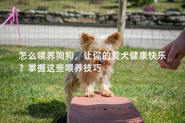 怎么喂养狗狗，让你的爱犬健康快乐？掌握这些喂养技巧