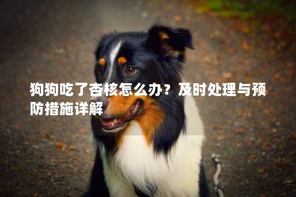 狗狗吃了杏核怎么办？及时处理与预防措施详解