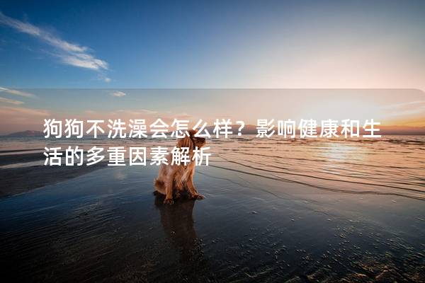 狗狗不洗澡会怎么样？影响健康和生活的多重因素解析