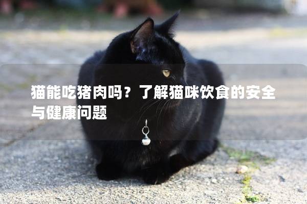 猫能吃猪肉吗？了解猫咪饮食的安全与健康问题