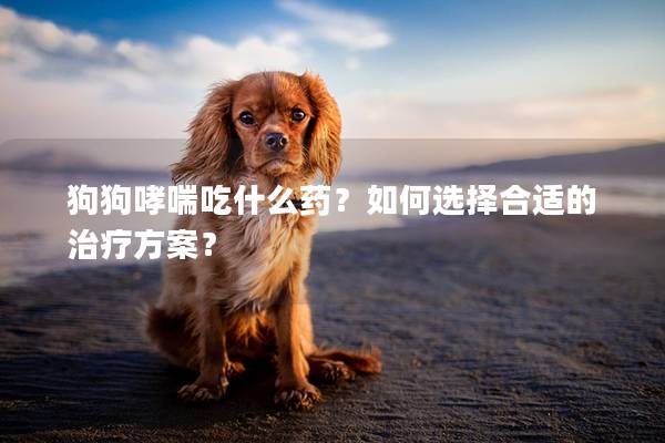 狗狗哮喘吃什么药？如何选择合适的治疗方案？