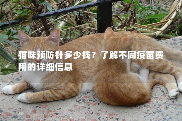 猫咪预防针多少钱？了解不同疫苗费用的详细信息