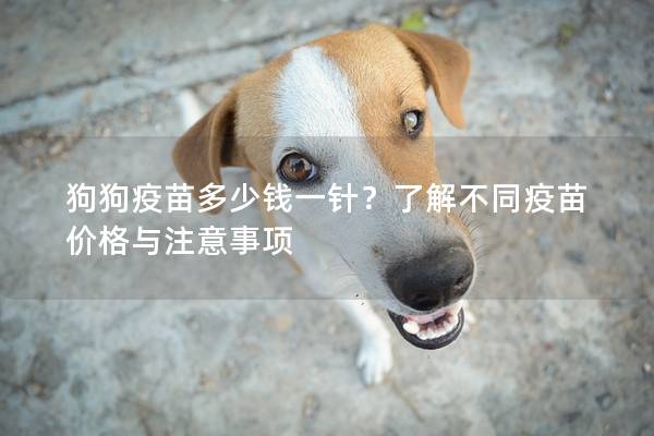 狗狗疫苗多少钱一针？了解不同疫苗价格与注意事项