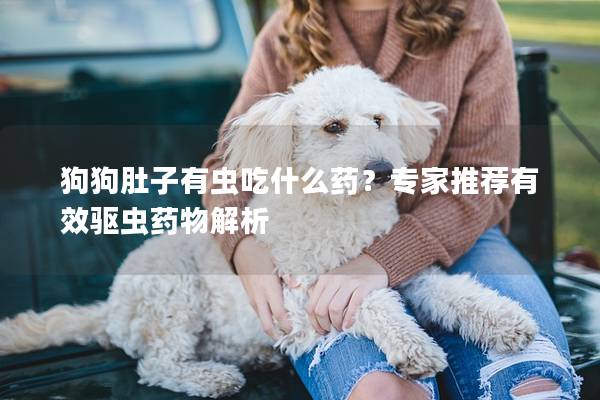 狗狗肚子有虫吃什么药？专家推荐有效驱虫药物解析