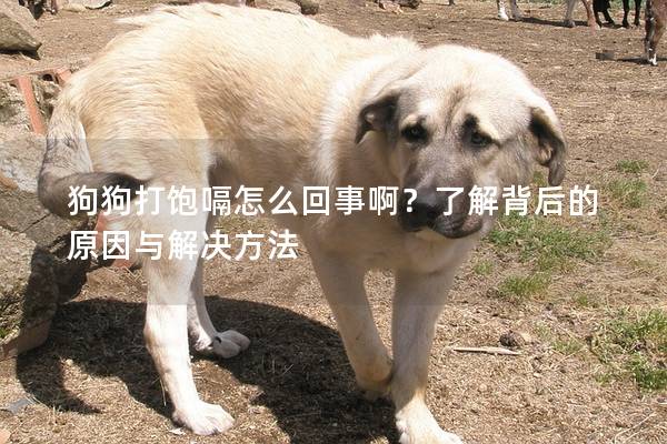 狗狗打饱嗝怎么回事啊？了解背后的原因与解决方法