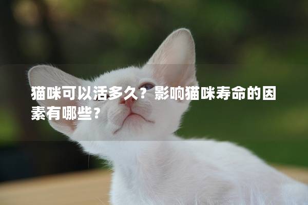 猫咪可以活多久？影响猫咪寿命的因素有哪些？