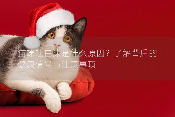 猫咪吐白沫是什么原因？了解背后的健康信号与注意事项