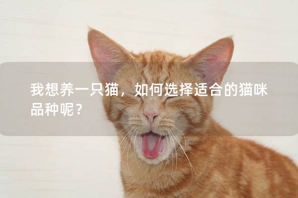 我想养一只猫，如何选择适合的猫咪品种呢？