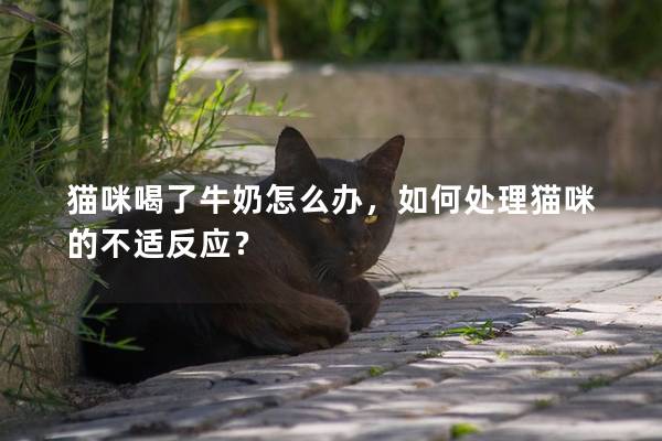 猫咪喝了牛奶怎么办，如何处理猫咪的不适反应？