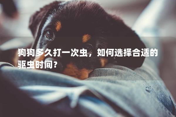 狗狗多久打一次虫，如何选择合适的驱虫时间？