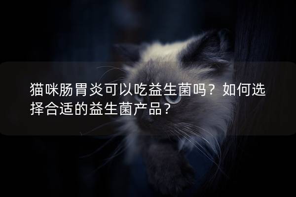 猫咪肠胃炎可以吃益生菌吗？如何选择合适的益生菌产品？