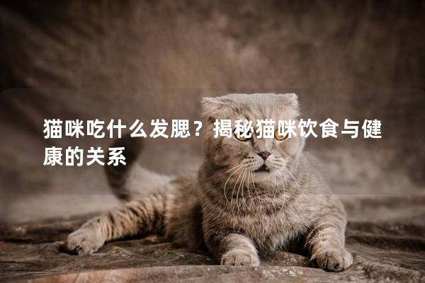 猫咪吃什么发腮？揭秘猫咪饮食与健康的关系