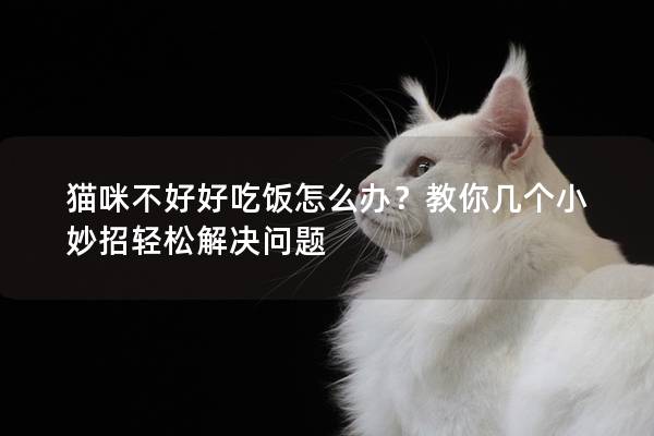 猫咪不好好吃饭怎么办？教你几个小妙招轻松解决问题