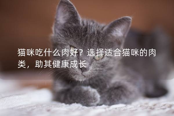 猫咪吃什么肉好？选择适合猫咪的肉类，助其健康成长