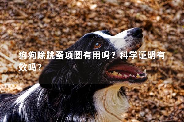 狗狗除跳蚤项圈有用吗？科学证明有效吗？