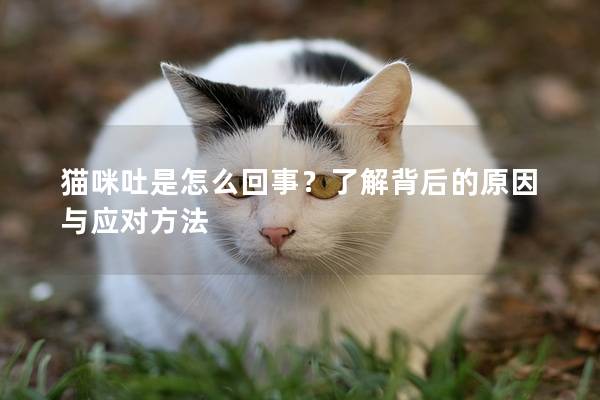 猫咪吐是怎么回事？了解背后的原因与应对方法