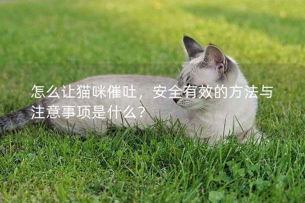 怎么让猫咪催吐，安全有效的方法与注意事项是什么？