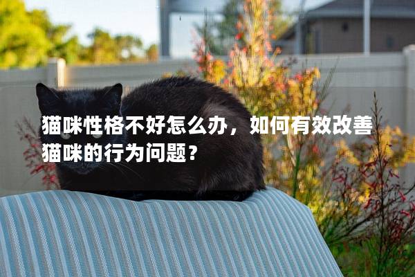 猫咪性格不好怎么办，如何有效改善猫咪的行为问题？