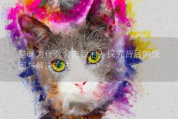 猫咪为什么会流眼泪？探究背后的原因与解决方法