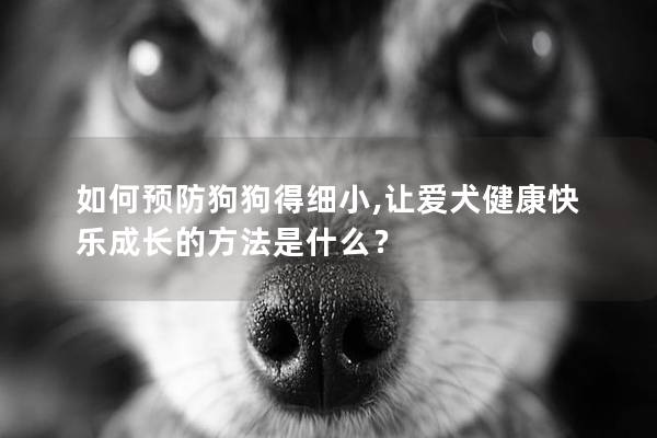 如何预防狗狗得细小,让爱犬健康快乐成长的方法是什么？