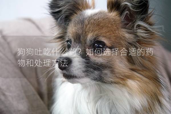 狗狗吐吃什么药？如何选择合适的药物和处理方法