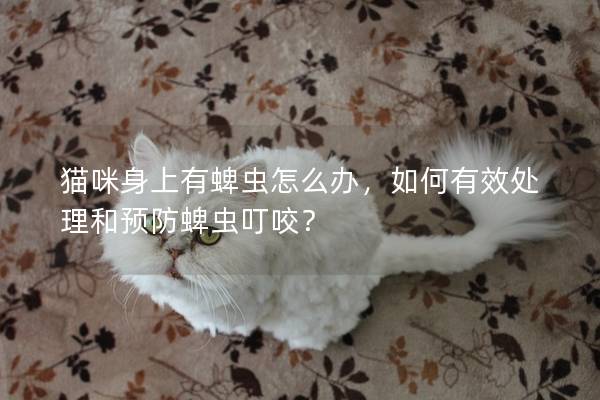 猫咪身上有蜱虫怎么办，如何有效处理和预防蜱虫叮咬？