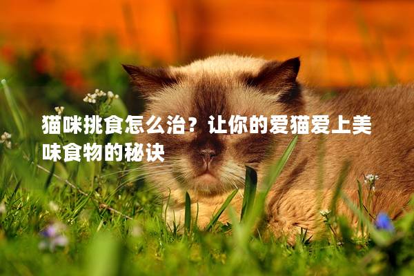 猫咪挑食怎么治？让你的爱猫爱上美味食物的秘诀