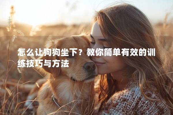 怎么让狗狗坐下？教你简单有效的训练技巧与方法