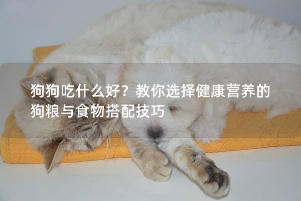 狗狗吃什么好？教你选择健康营养的狗粮与食物搭配技巧