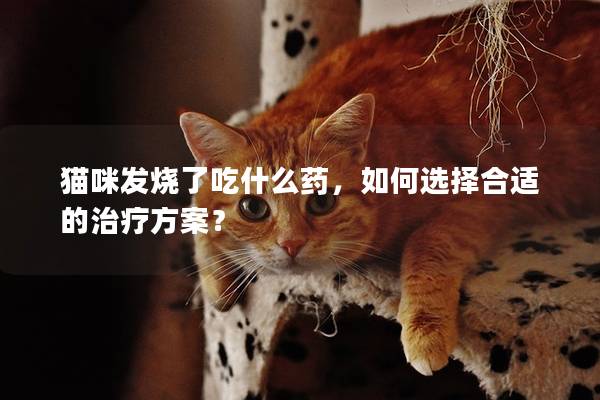 猫咪发烧了吃什么药，如何选择合适的治疗方案？