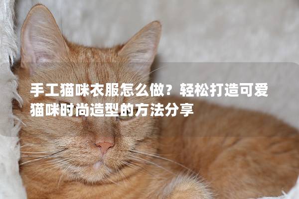 手工猫咪衣服怎么做？轻松打造可爱猫咪时尚造型的方法分享