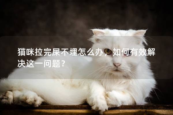 猫咪拉完屎不埋怎么办，如何有效解决这一问题？