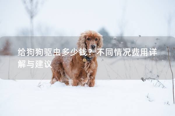 给狗狗驱虫多少钱？不同情况费用详解与建议