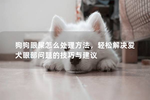 狗狗眼屎怎么处理方法，轻松解决爱犬眼部问题的技巧与建议