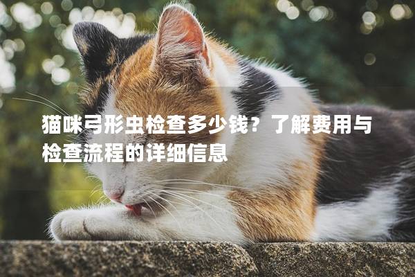 猫咪弓形虫检查多少钱？了解费用与检查流程的详细信息