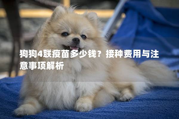 狗狗4联疫苗多少钱？接种费用与注意事项解析