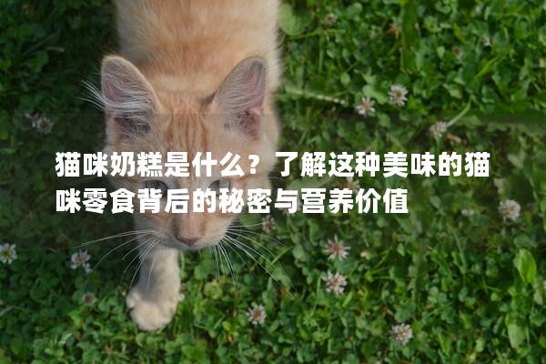 猫咪奶糕是什么？了解这种美味的猫咪零食背后的秘密与营养价值