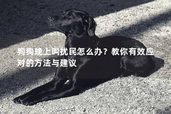 狗狗晚上叫扰民怎么办？教你有效应对的方法与建议