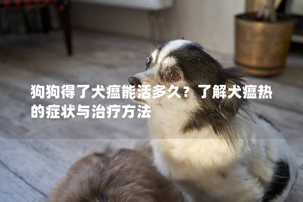 狗狗得了犬瘟能活多久？了解犬瘟热的症状与治疗方法