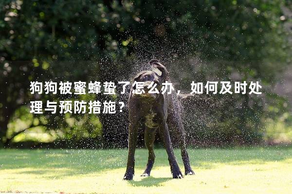 狗狗被蜜蜂蛰了怎么办，如何及时处理与预防措施？